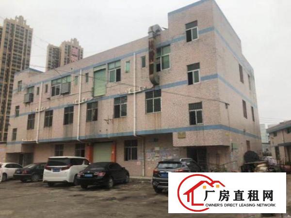  三层厂房带货梯房东自租