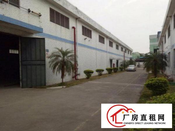  龙岗坪地原房东厂房独院钢构空地大可做物流仓储