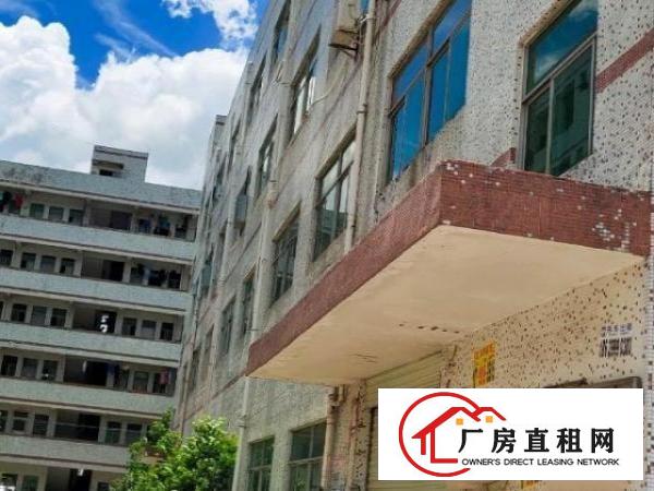  龙岗坪鹤坑自然之家工业园厂房出租
