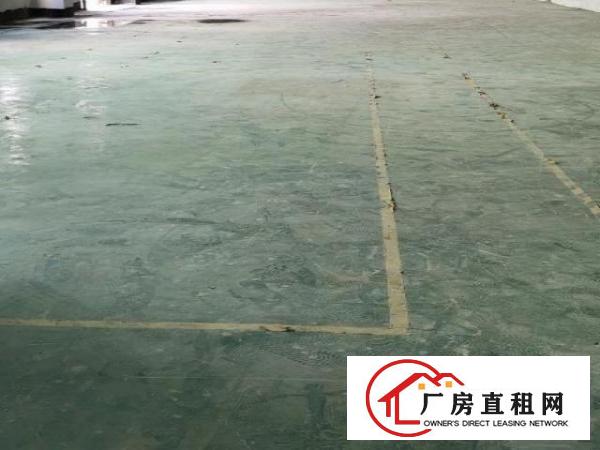  龙岗坪鹤坑自然之家工业园厂房出租
