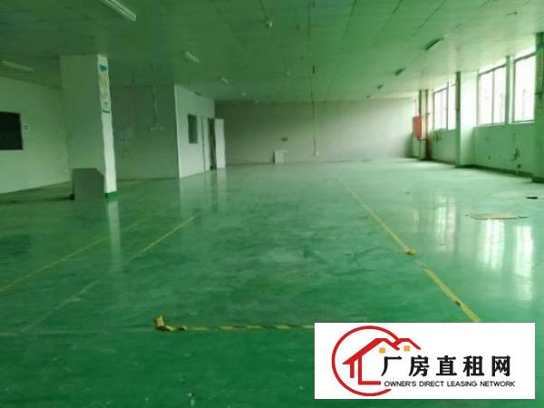  坪地全新地坪漆标准厂房
