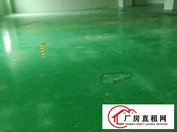 坪地全新地坪漆标准厂房