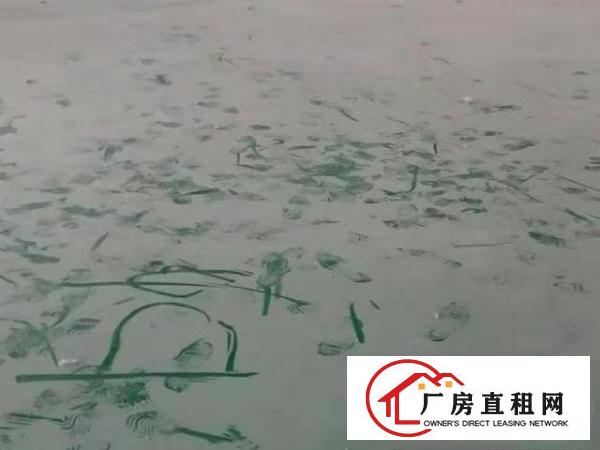  龙岗坪地龙岗大道旁独门独院钢构砖墙到顶现成装修空地大