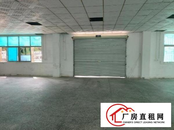  漂亮独院厂房出租了500平米，低价出租