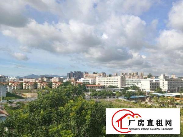  漂亮独院厂房出租了500-1000-1500平米都有