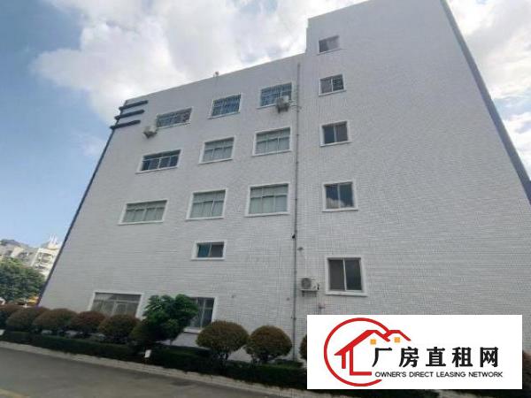  漂亮独院厂房出租了500-1000-1500平米都有
