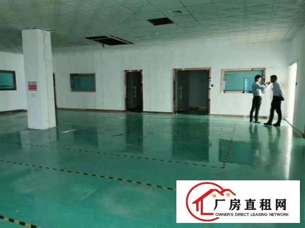  龙岗坪地坪西主干道楼上精装修厂房2050平方出租