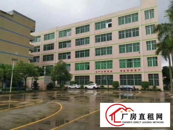  龙岗坪地坪西主干道楼上精装修厂房2050平方出租
