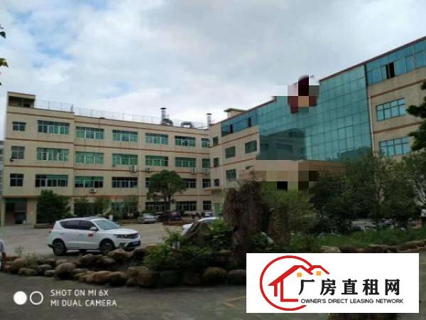  坪地坪西新出三楼带电梯1500平出租（送装修招租）
