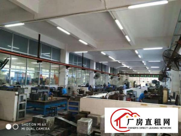  坪地坪西新出三楼带电梯1500平出租（送装修招租）