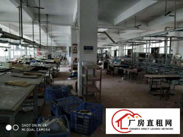  坪地坪西新出三楼带电梯1500平出租（送装修招租）