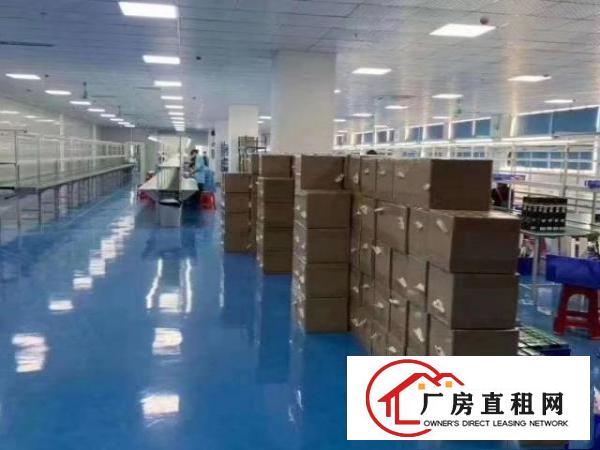  厂房出租龙岗坪地坪西新出无尘车间1000平，免转让费