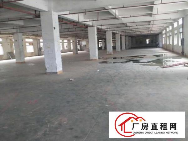  坪地年丰高速路口一一现空出标准一楼1000平厂房招租