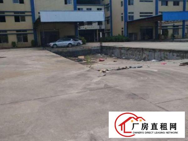 坪地年丰高速路口一一现空出标准一楼1000平厂房招租