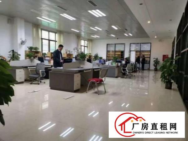  龙岗坪地精装修厂房出租