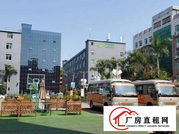  出租龙岗区坪地办公室物业直租18元起等你咨询