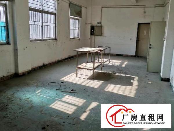  坪东村委厂房200-500平分租，免中介