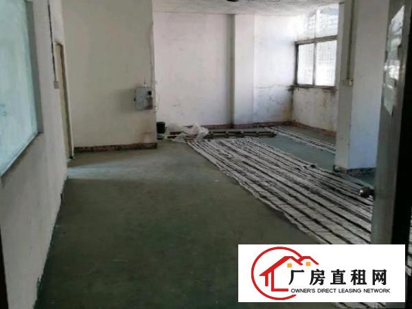  坪东村委厂房200-500平分租，免中介