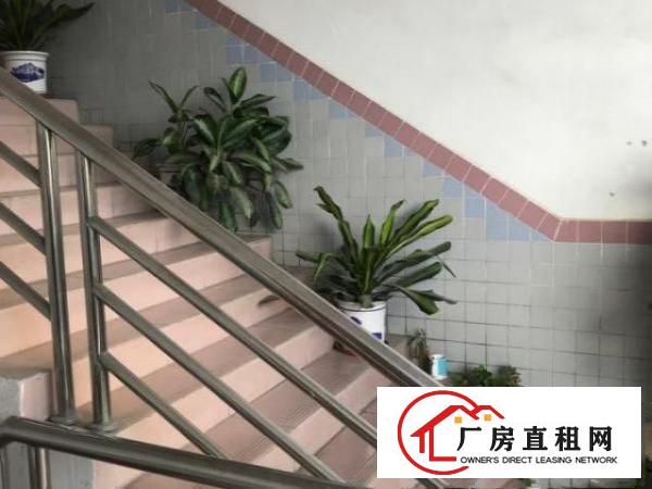  龙岗坪西印刷厂厂房分租500到800平