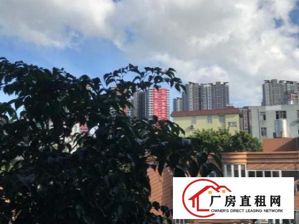  龙岗坪西印刷厂厂房分租500到800平