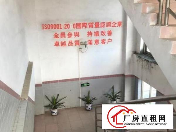  龙岗坪西印刷厂厂房分租500到800平
