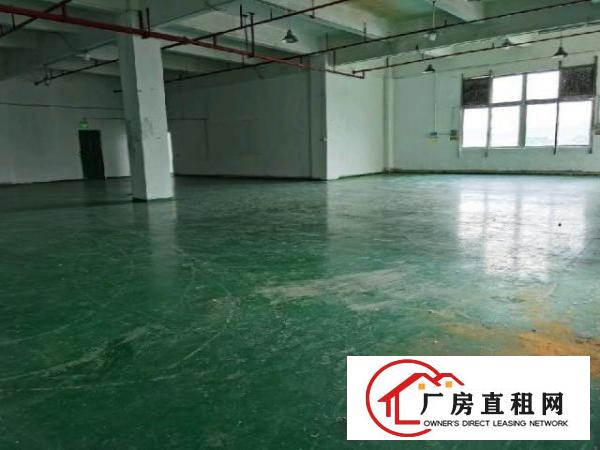  龙岗坪地主干道边楼上470平精装修办公室厂房出租