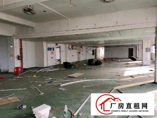  龙岗坪地坪西北通道附近楼上带装修厂房950平出租