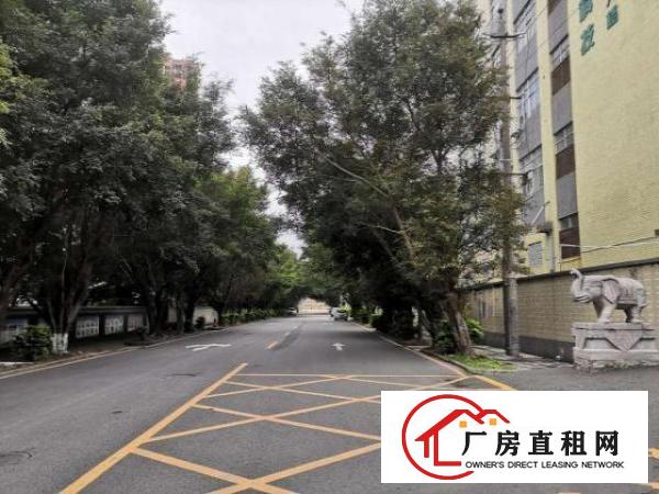  出租龙岗坪地坪西标准工业厂房