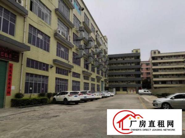  出租龙岗坪地坪西标准工业厂房