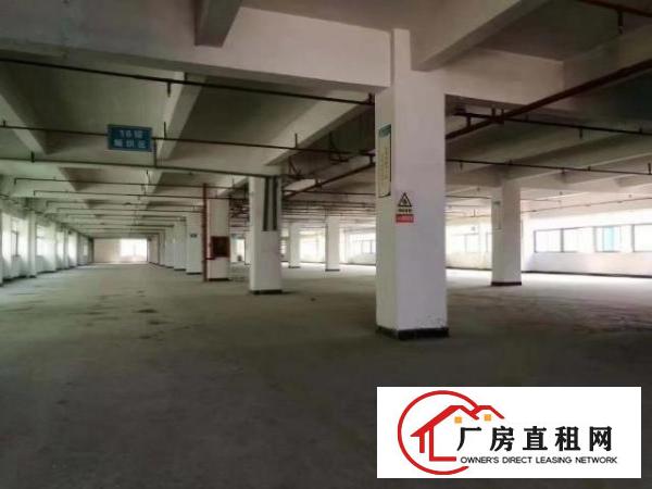  出租龙岗区坪地环城南路标准厂房没有公摊价格便宜