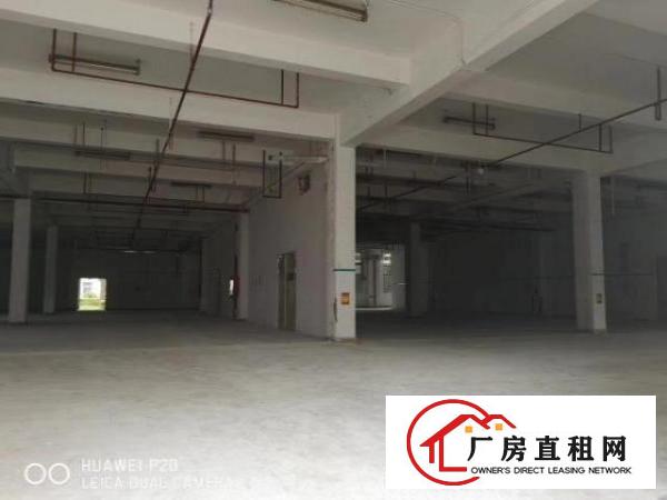  出租龙岗区坪地环城南路标准厂房没有公摊价格便宜