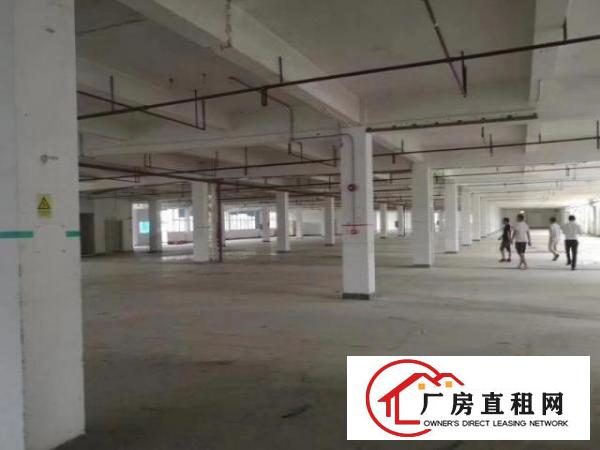  出租龙岗区坪地环城南路标准厂房没有公摊价格便宜