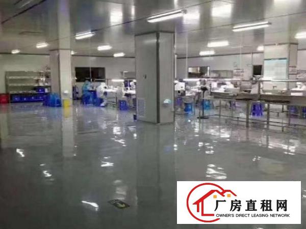  有红本，坪地独院厂房出租19400平米，有现成无尘车间