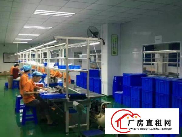  龙岗坪地花园式厂房适合生物医疗研发科技实验室等