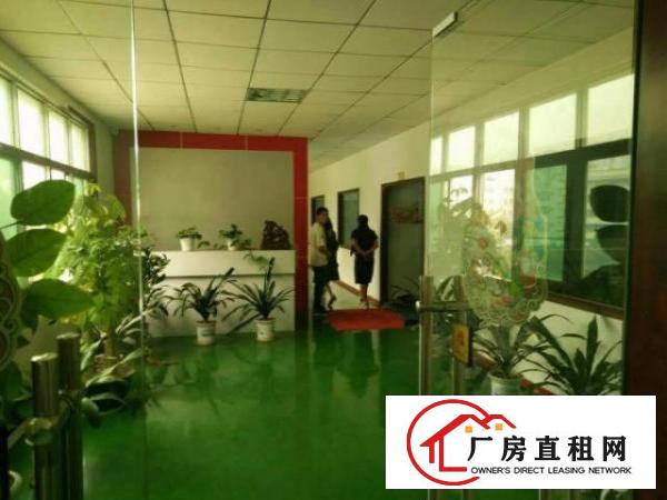  龙岗坪地花园式厂房适合生物医疗研发科技实验室等