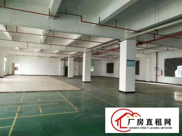  龙岗坪地花园式厂房适合生物医疗研发科技实验室等