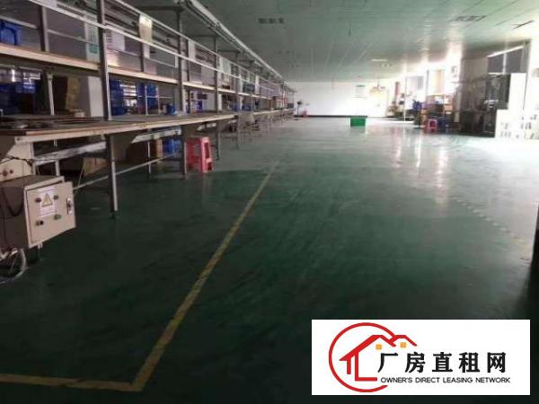  龙岗坪地花园式厂房适合生物医疗研发科技实验室等
