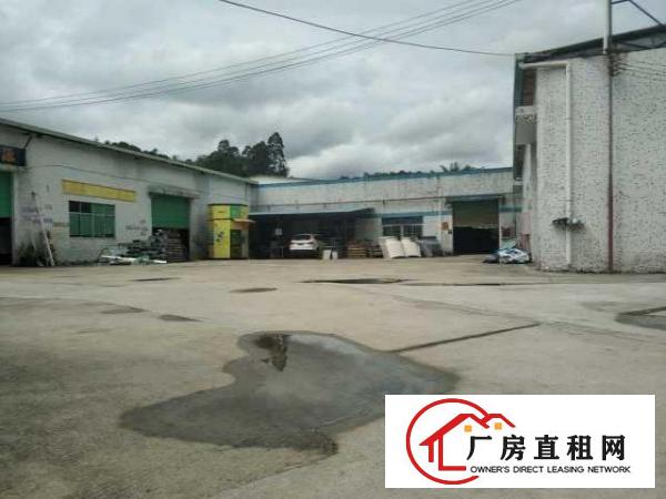  出租龙岗坪地1100平方厂房（可做生产加工、仓库等）