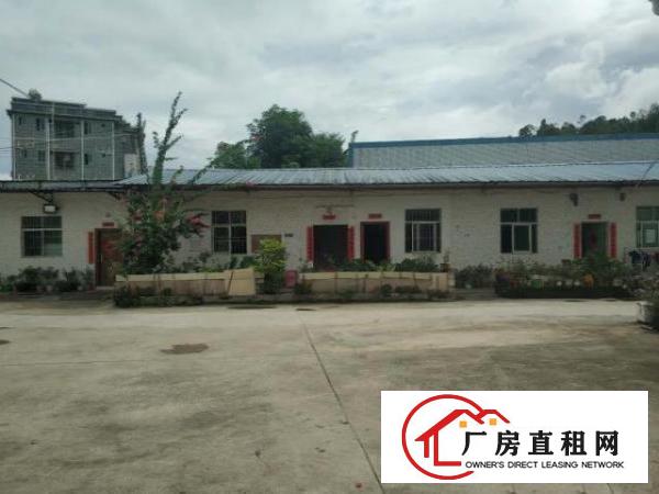  出租龙岗坪地1100平方厂房（可做生产加工、仓库等）