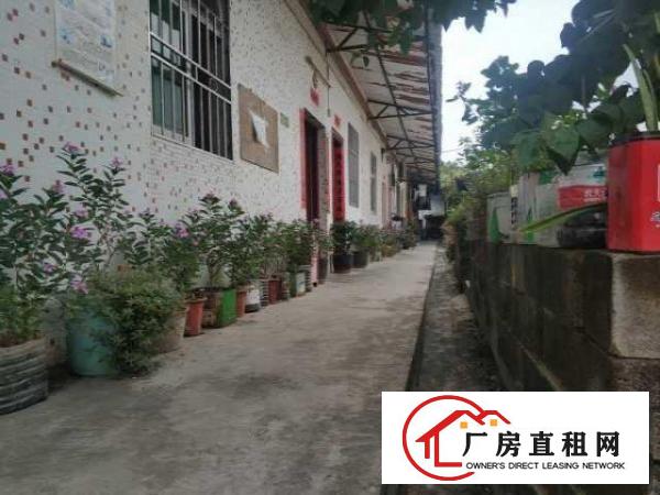  出租龙岗坪地1100平方厂房（可做生产加工、仓库等）