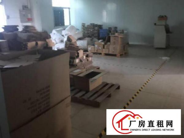  出租龙岗区坪地紫荆路17号