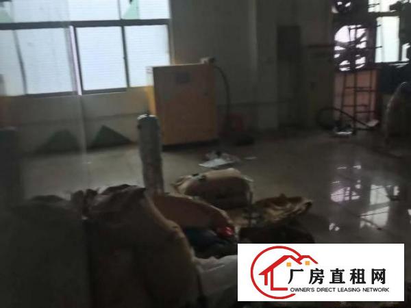  出租龙岗区坪地紫荆路17号