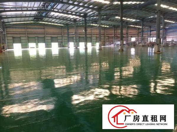  龙岗12米高钢构厂房两万平，一千平起租，空地大，有红本