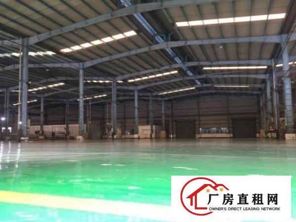  龙岗12米高钢构厂房两万平，一千平起租，空地大，有红本
