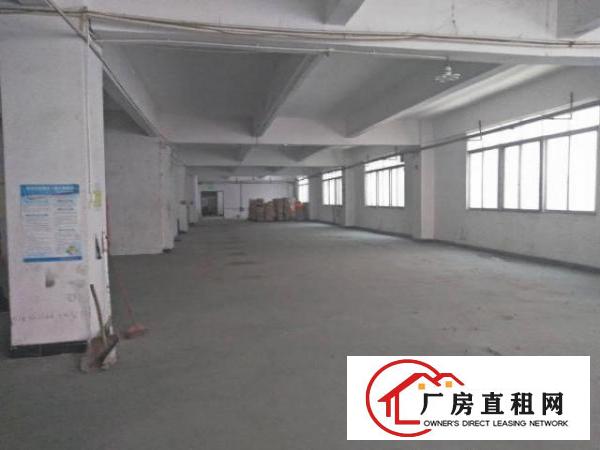  坪地坪东碧云街第二工业区二楼1476平带装修招租（可分租）