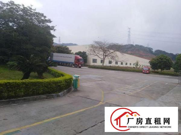 坪地年丰新出滴水9米钢构工业厂房2000平米起租（可办环评）