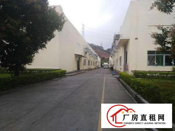  坪地年丰新出滴水9米钢构工业厂房2000平米起租（可办环评）