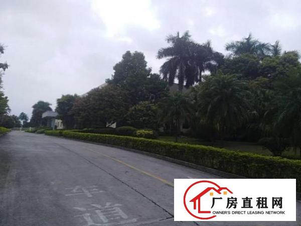  坪地年丰新出滴水9米钢构工业厂房2000平米起租（可办环评）
