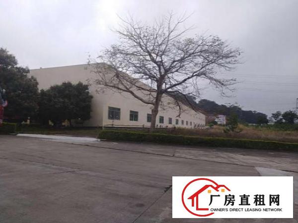  坪地年丰新出滴水9米钢构工业厂房2000平米起租（可办环评）