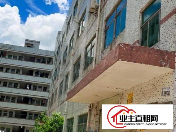  坪地鹤坑自然之家工业园厂房出租
